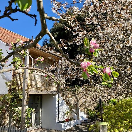 Westbury Cross House Bed & Breakfast ภายนอก รูปภาพ