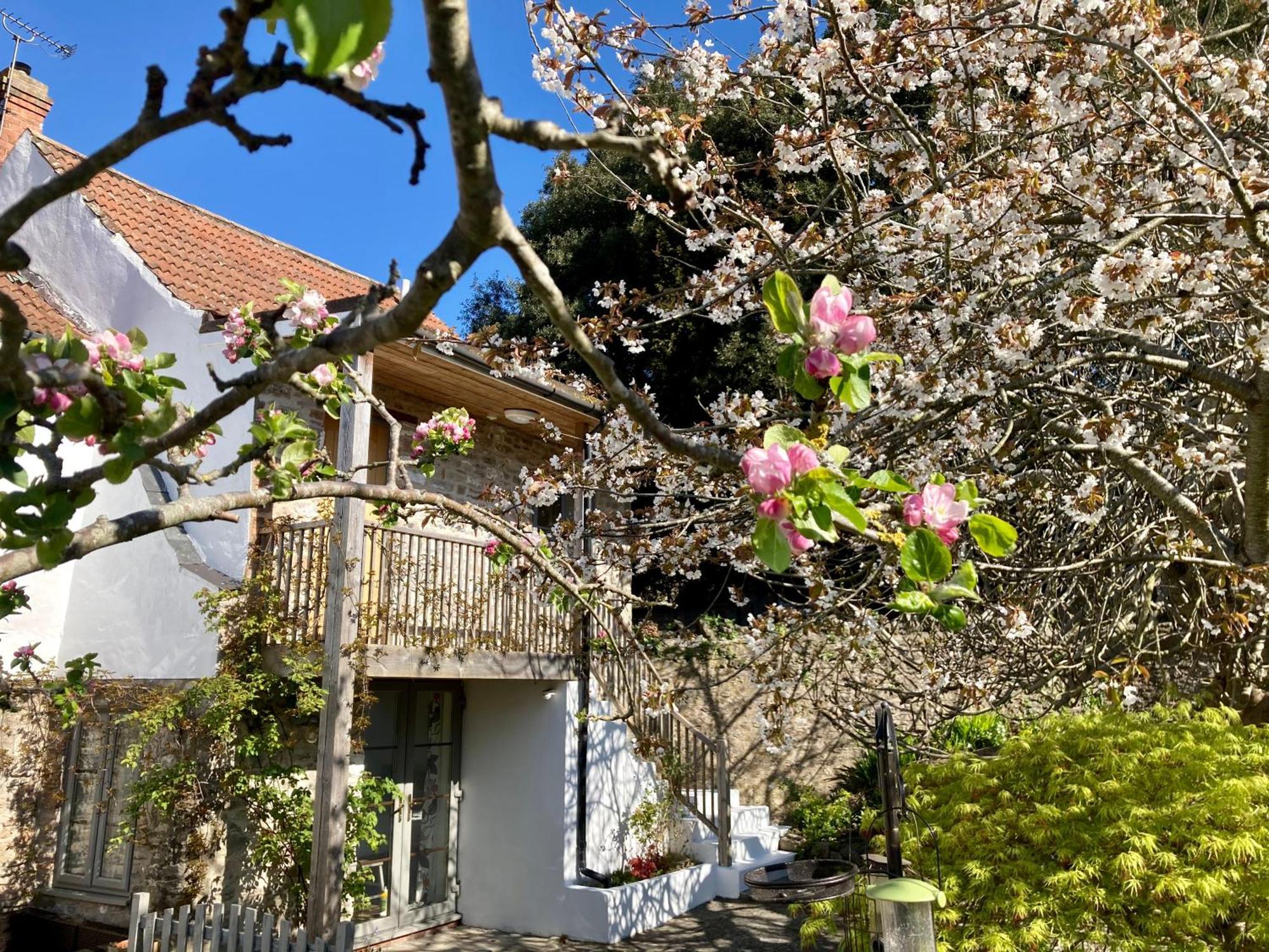 Westbury Cross House Bed & Breakfast ภายนอก รูปภาพ