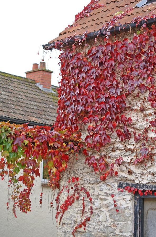 Westbury Cross House Bed & Breakfast ภายนอก รูปภาพ